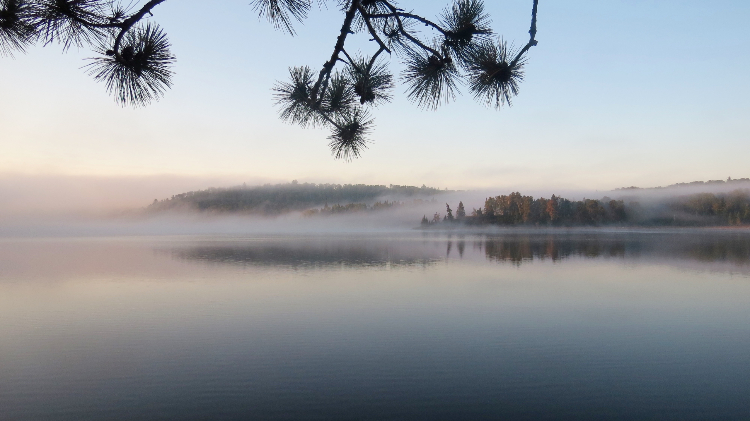 Seagull lake mist